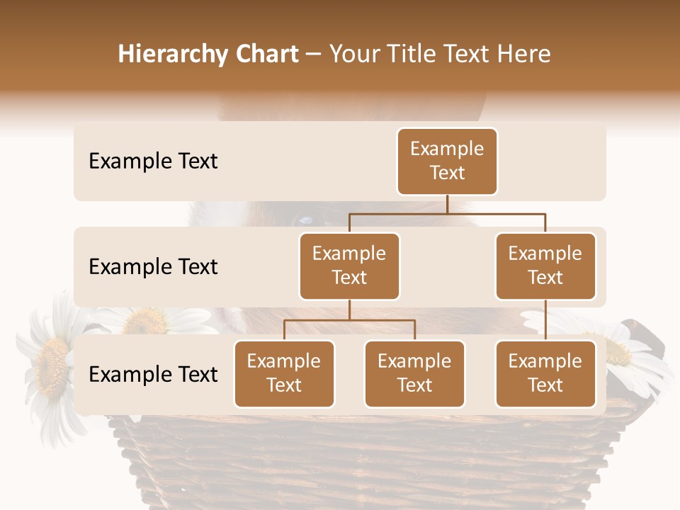 Baby Season Spring PowerPoint Template