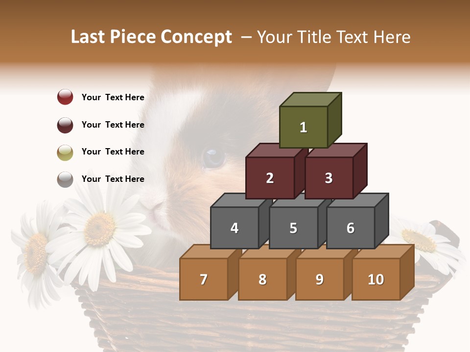 Baby Season Spring PowerPoint Template