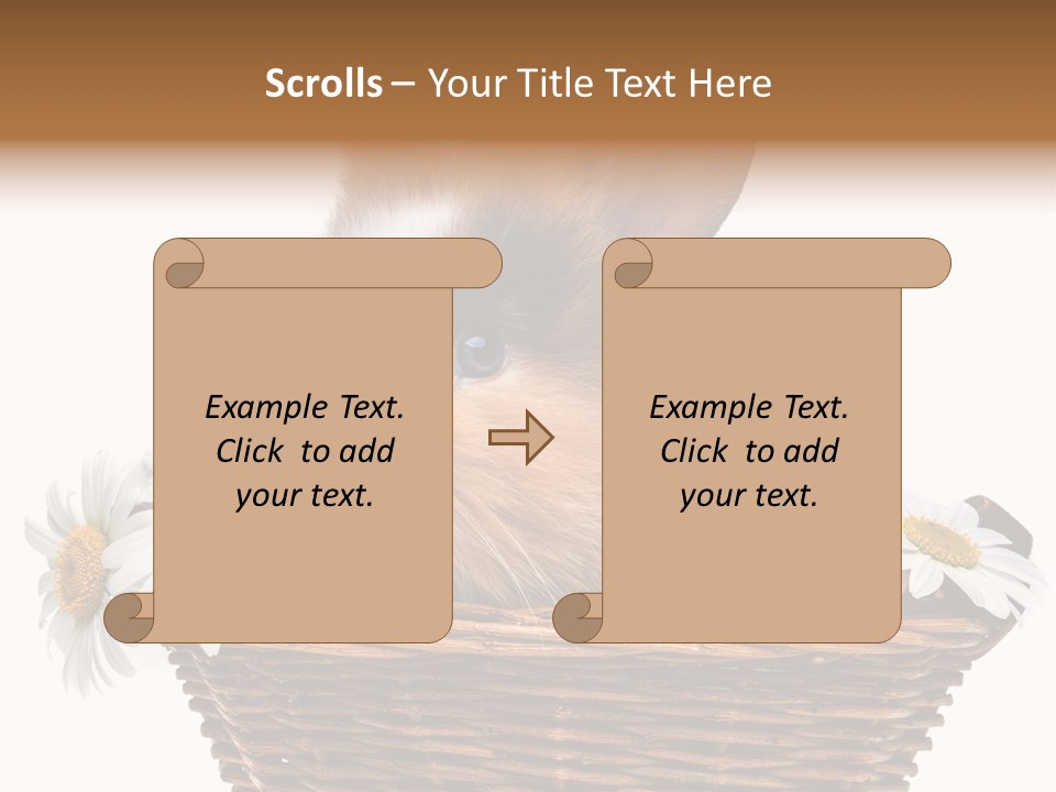 Baby Season Spring PowerPoint Template