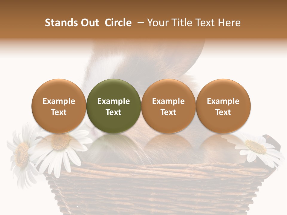 Baby Season Spring PowerPoint Template