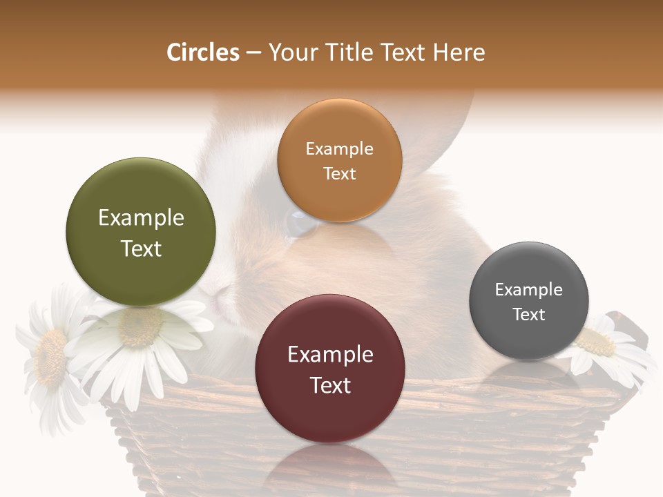 Baby Season Spring PowerPoint Template