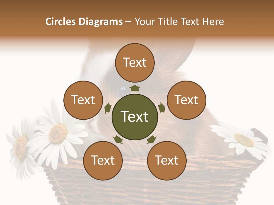 Baby Season Spring PowerPoint Template