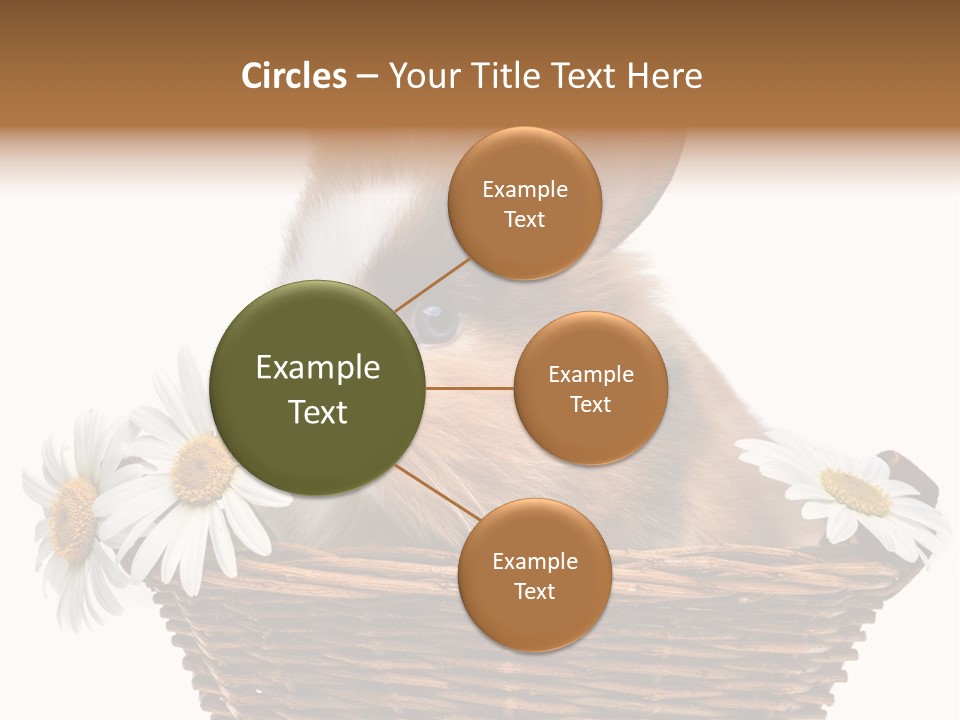 Baby Season Spring PowerPoint Template