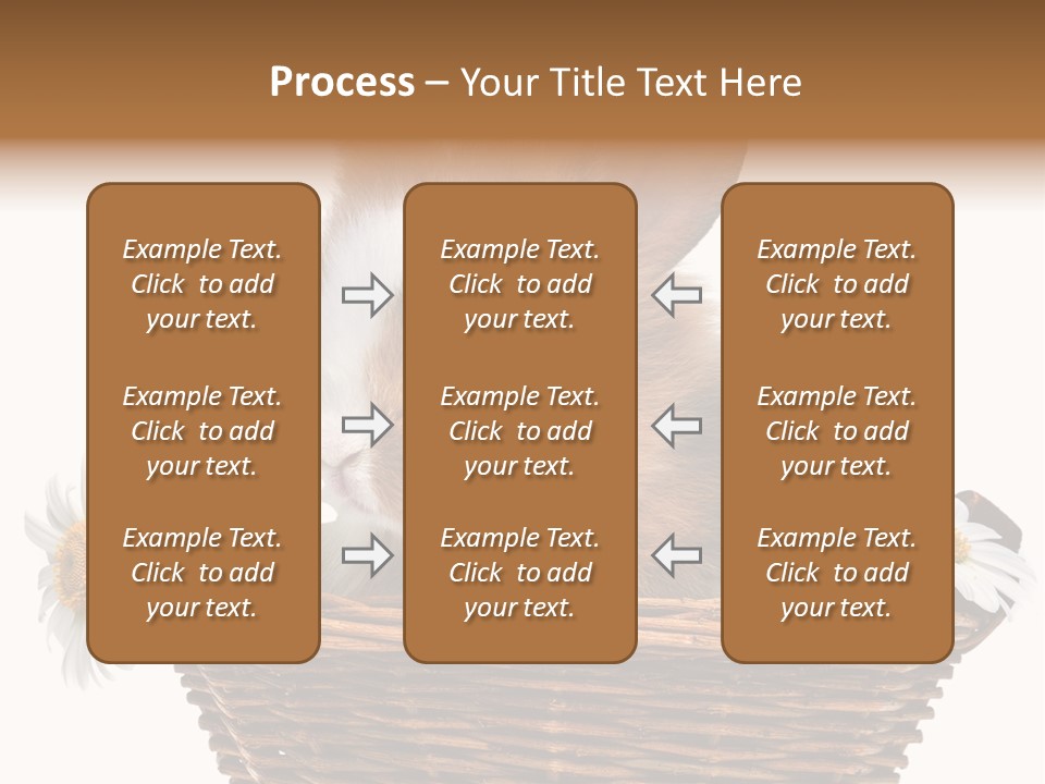 Baby Season Spring PowerPoint Template