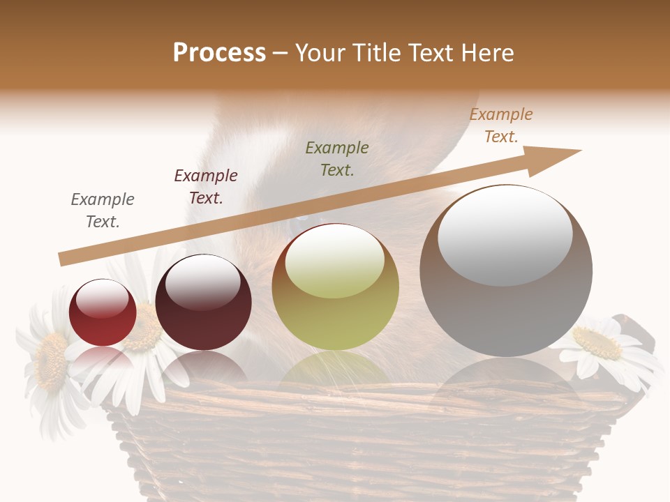 Baby Season Spring PowerPoint Template