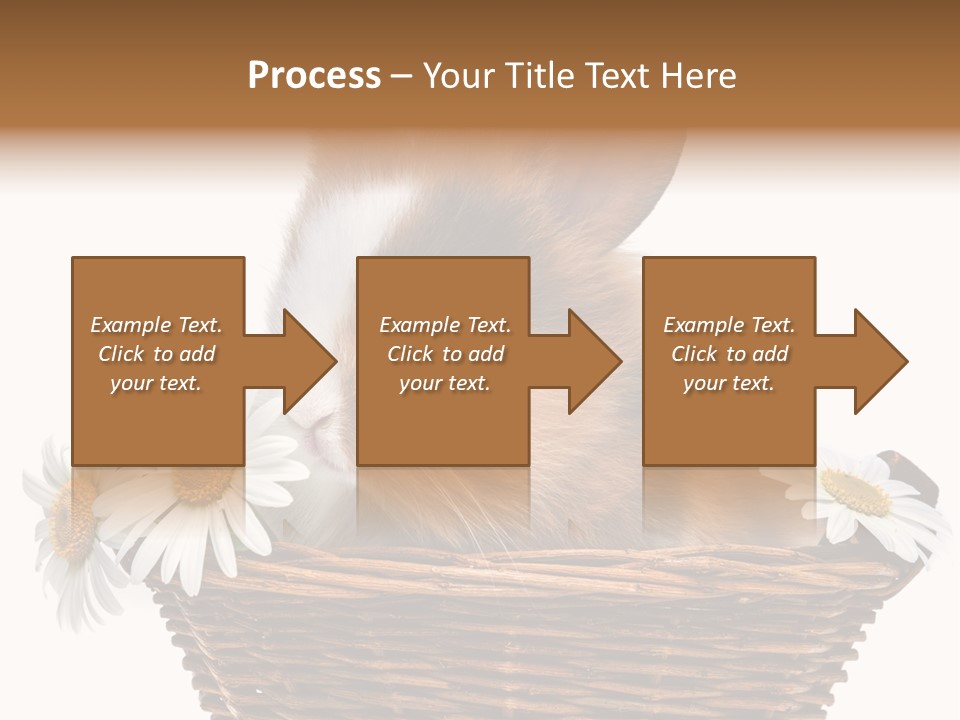 Baby Season Spring PowerPoint Template