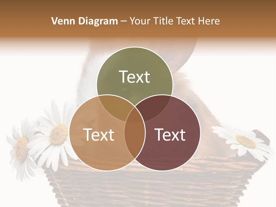 Baby Season Spring PowerPoint Template