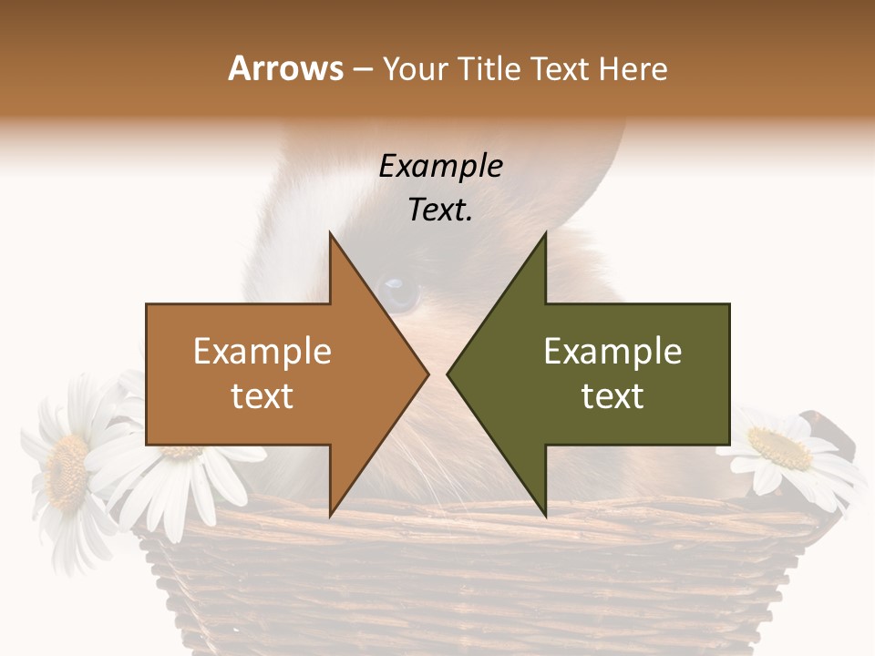 Baby Season Spring PowerPoint Template