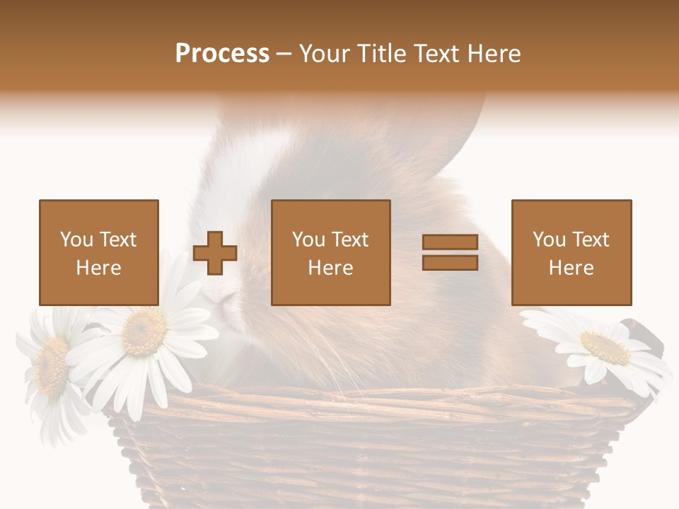 Baby Season Spring PowerPoint Template