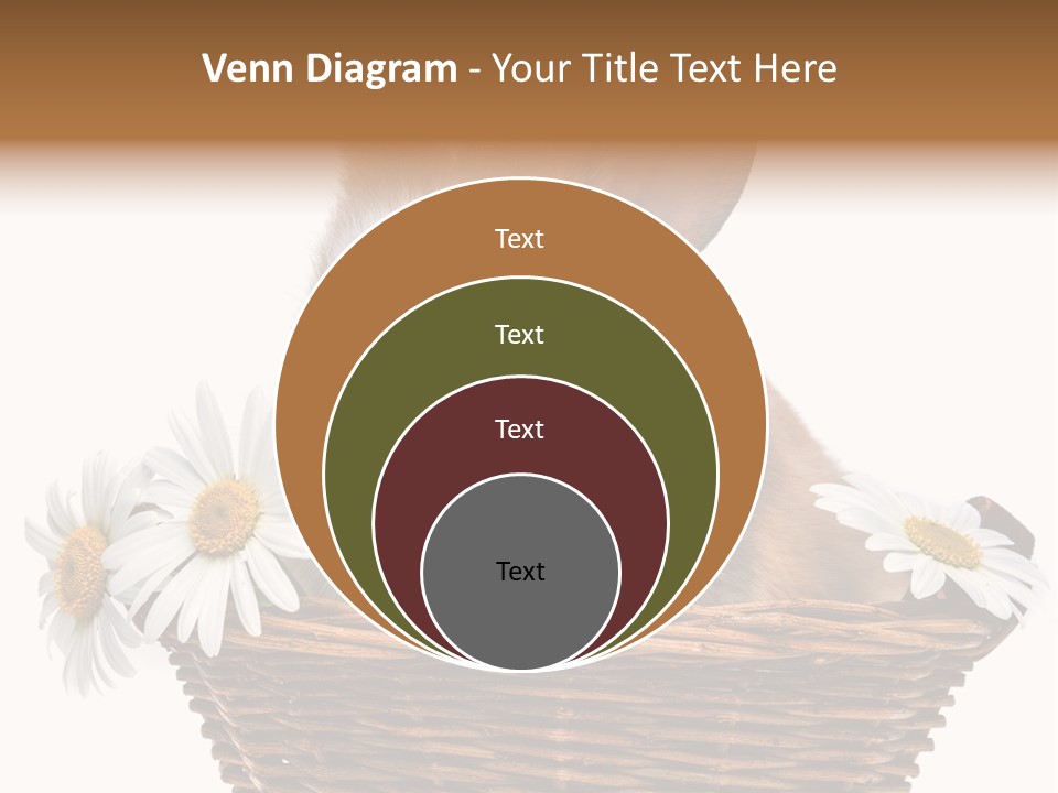 Baby Season Spring PowerPoint Template