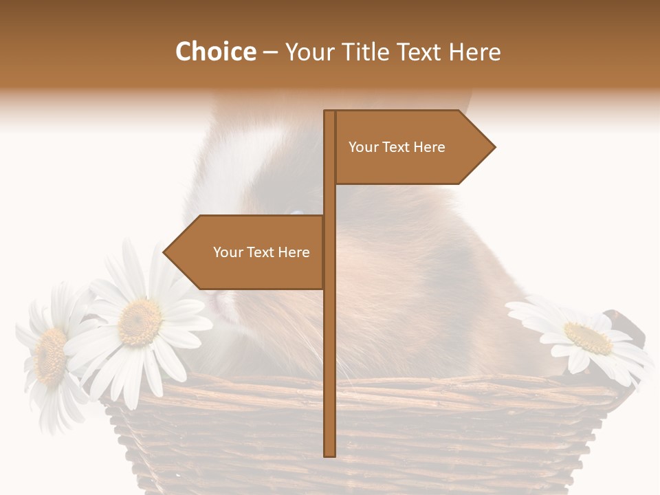 Baby Season Spring PowerPoint Template