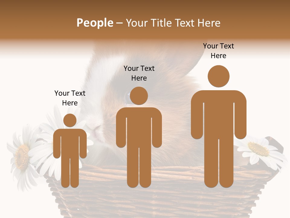 Baby Season Spring PowerPoint Template