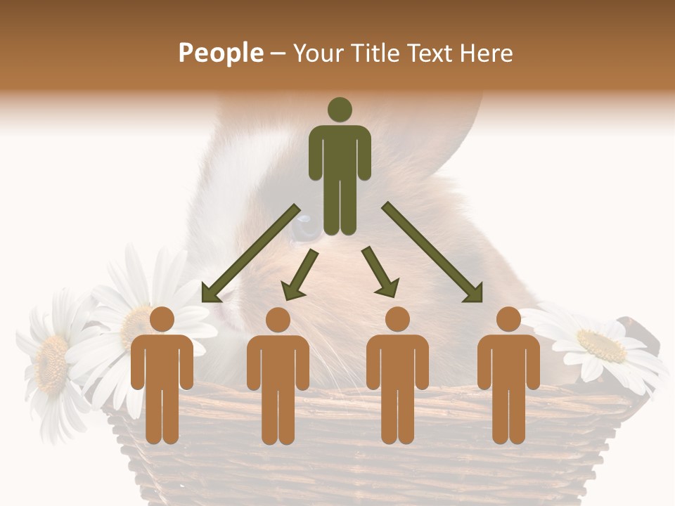 Baby Season Spring PowerPoint Template