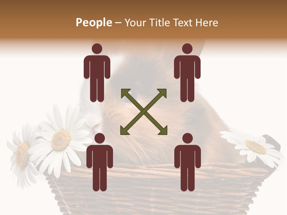 Baby Season Spring PowerPoint Template