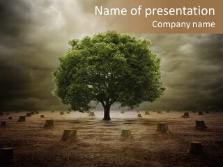 Landscape Ecologic Environment PowerPoint Template