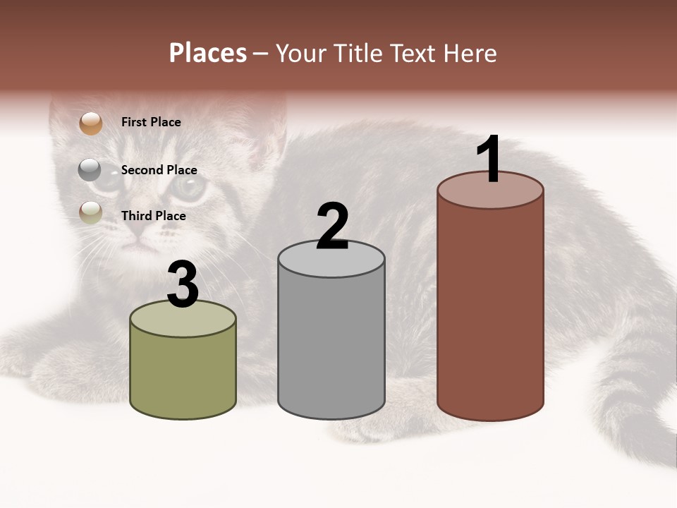 Isolated Detail Close Up Grey PowerPoint Template