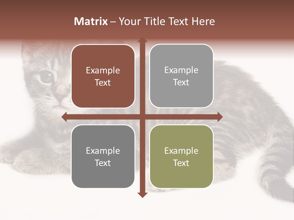 Isolated Detail Close Up Grey PowerPoint Template