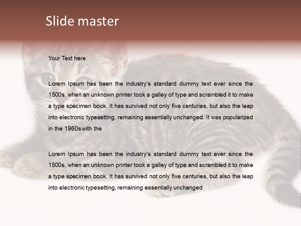 Isolated Detail Close Up Grey PowerPoint Template