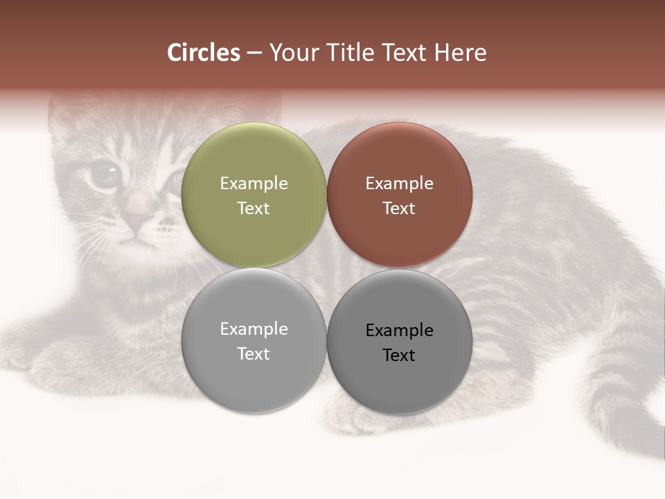 Isolated Detail Close Up Grey PowerPoint Template