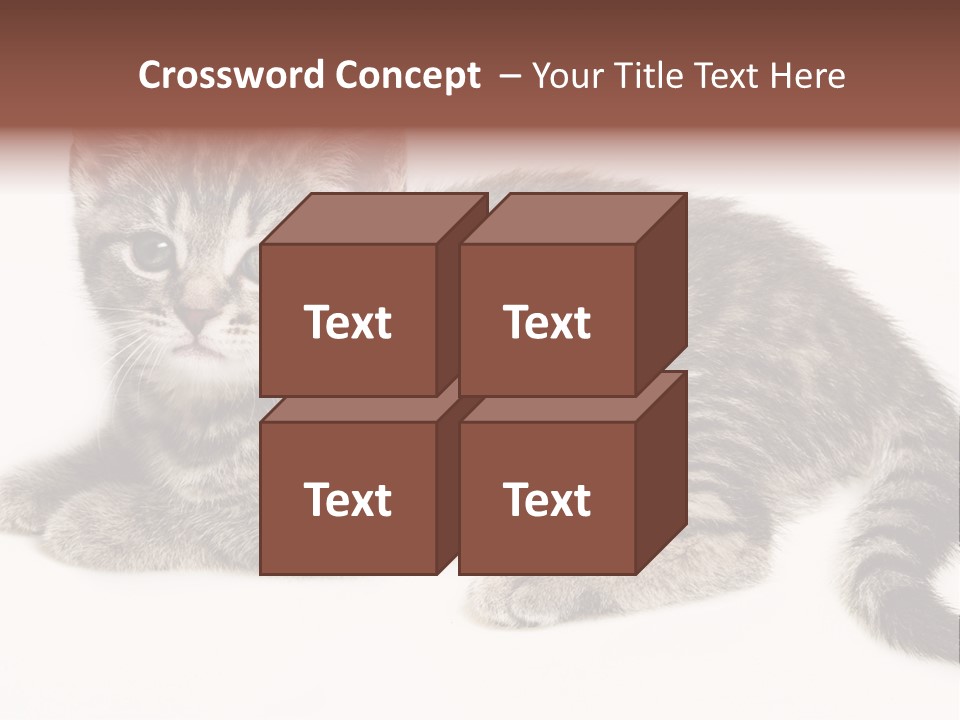 Isolated Detail Close Up Grey PowerPoint Template