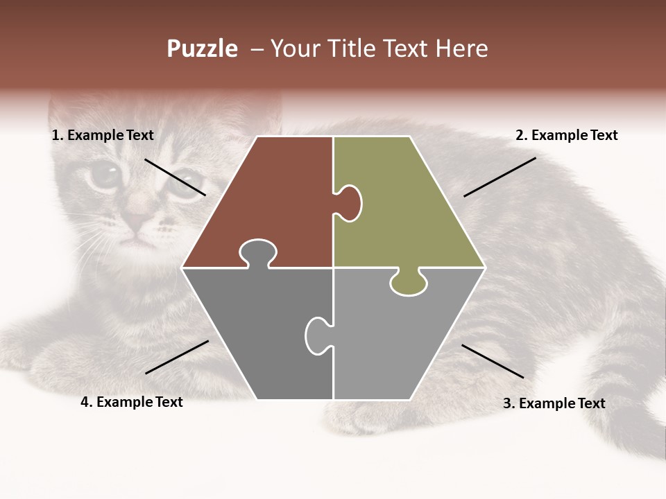 Isolated Detail Close Up Grey PowerPoint Template