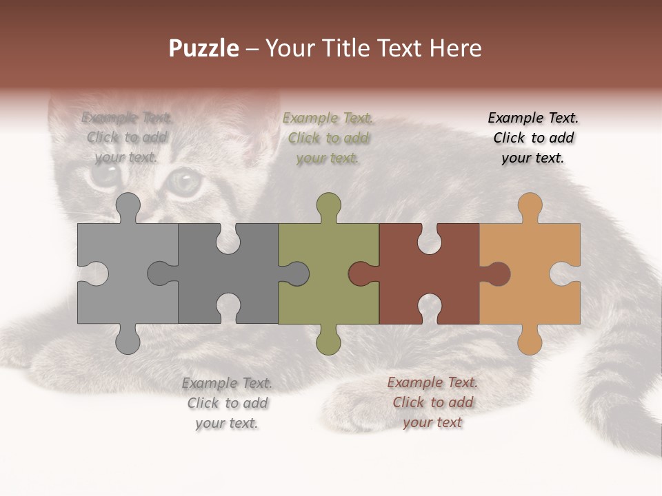 Isolated Detail Close Up Grey PowerPoint Template