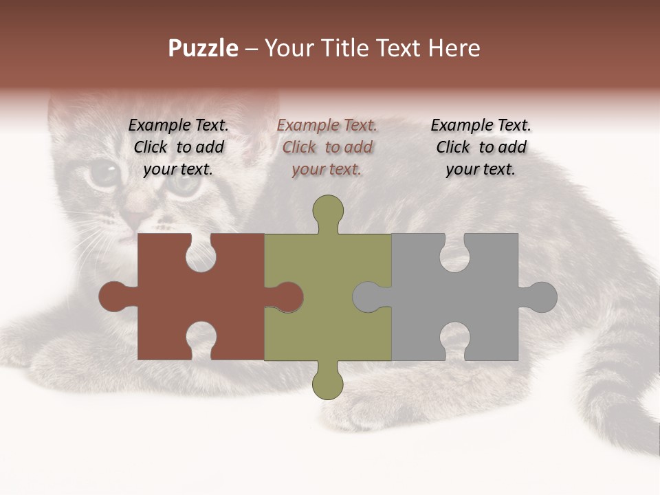 Isolated Detail Close Up Grey PowerPoint Template