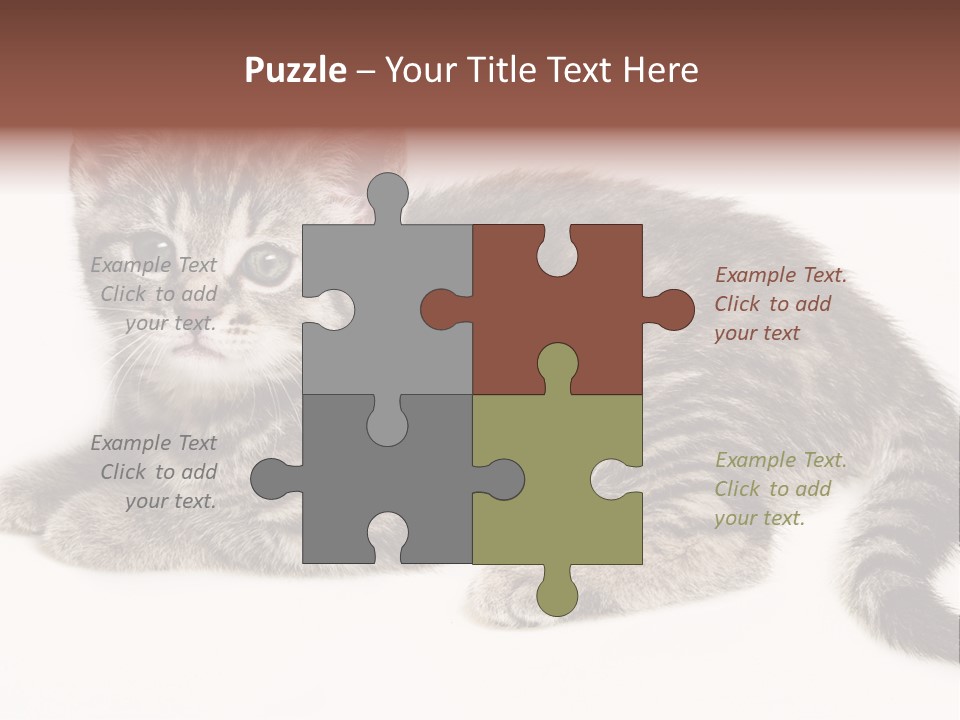 Isolated Detail Close Up Grey PowerPoint Template