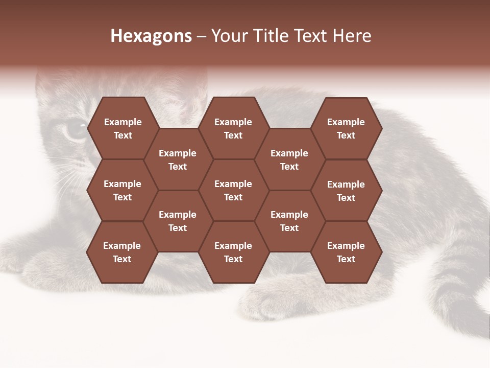 Isolated Detail Close Up Grey PowerPoint Template