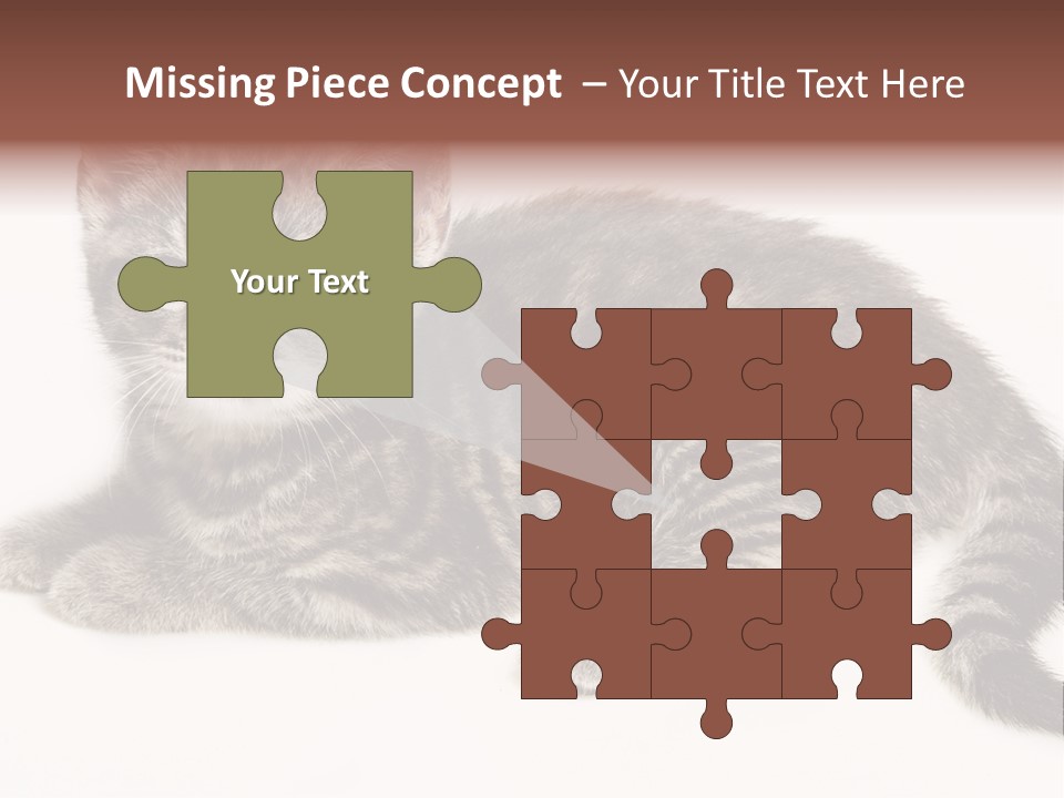 Isolated Detail Close Up Grey PowerPoint Template