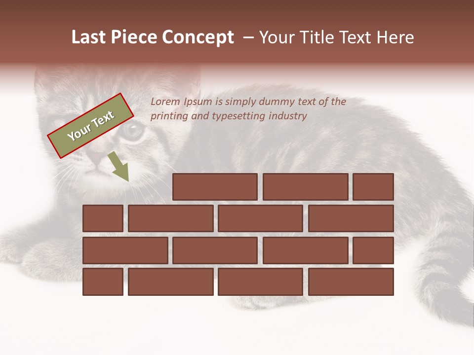 Isolated Detail Close Up Grey PowerPoint Template