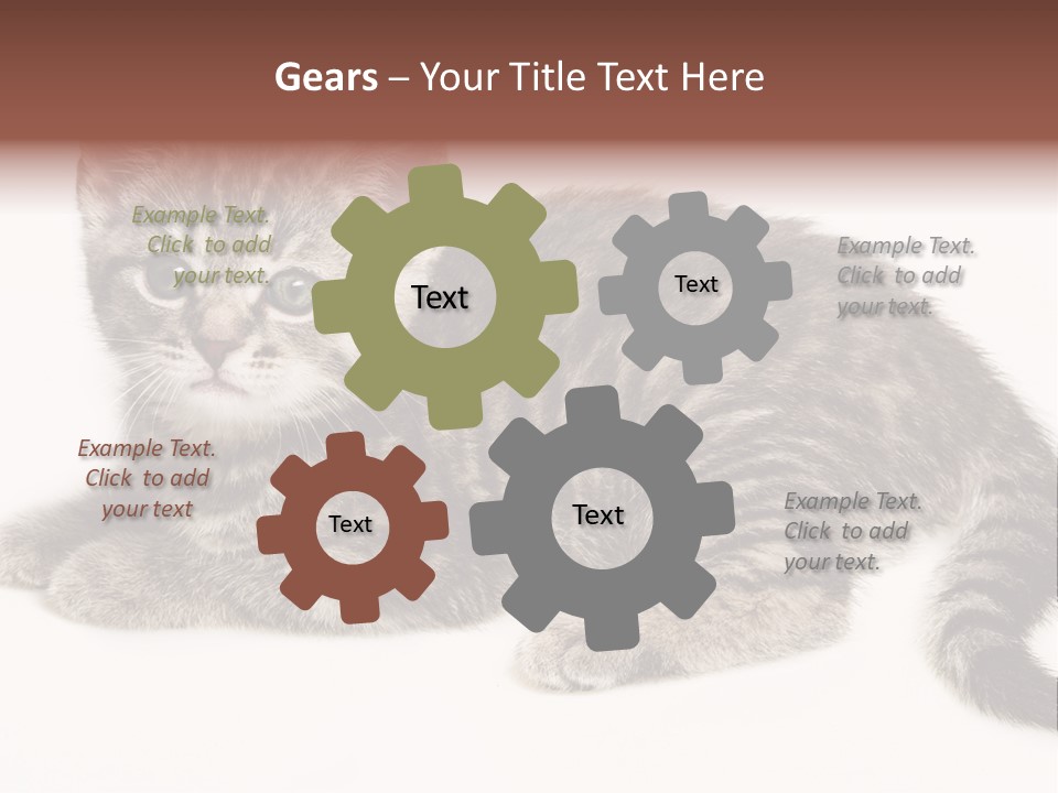 Isolated Detail Close Up Grey PowerPoint Template