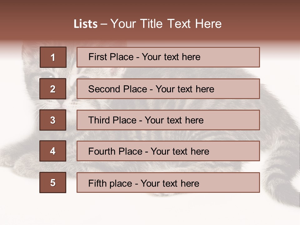 Isolated Detail Close Up Grey PowerPoint Template