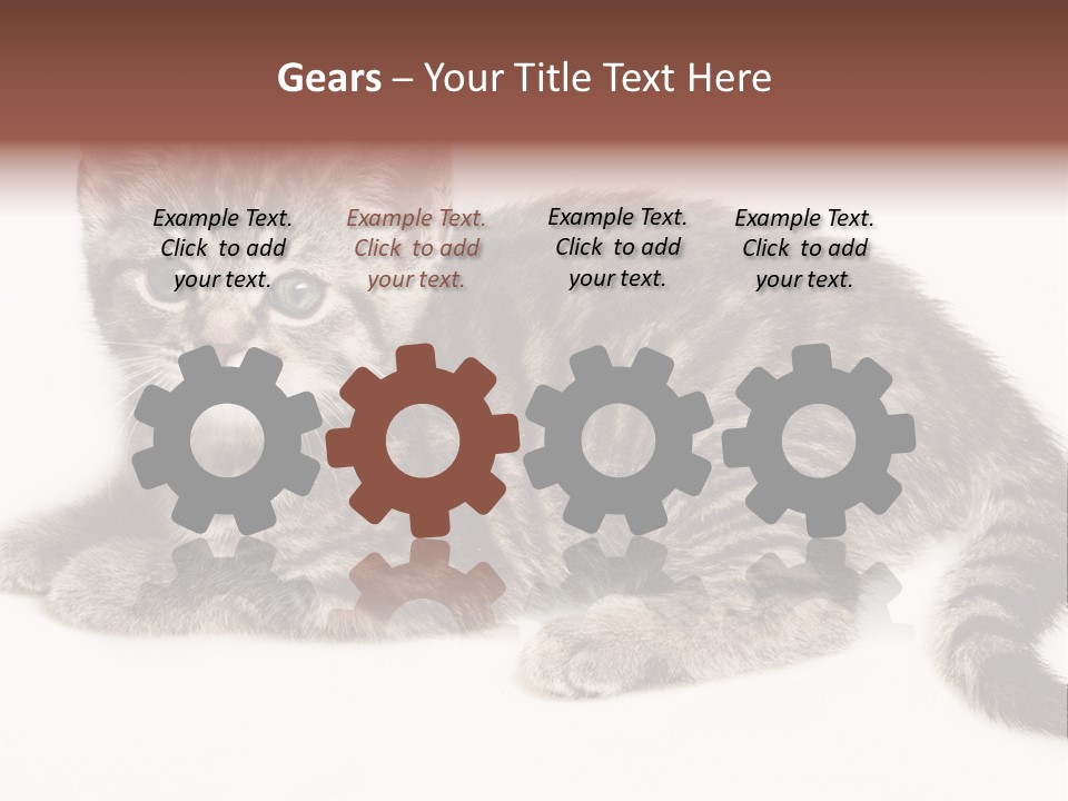 Isolated Detail Close Up Grey PowerPoint Template