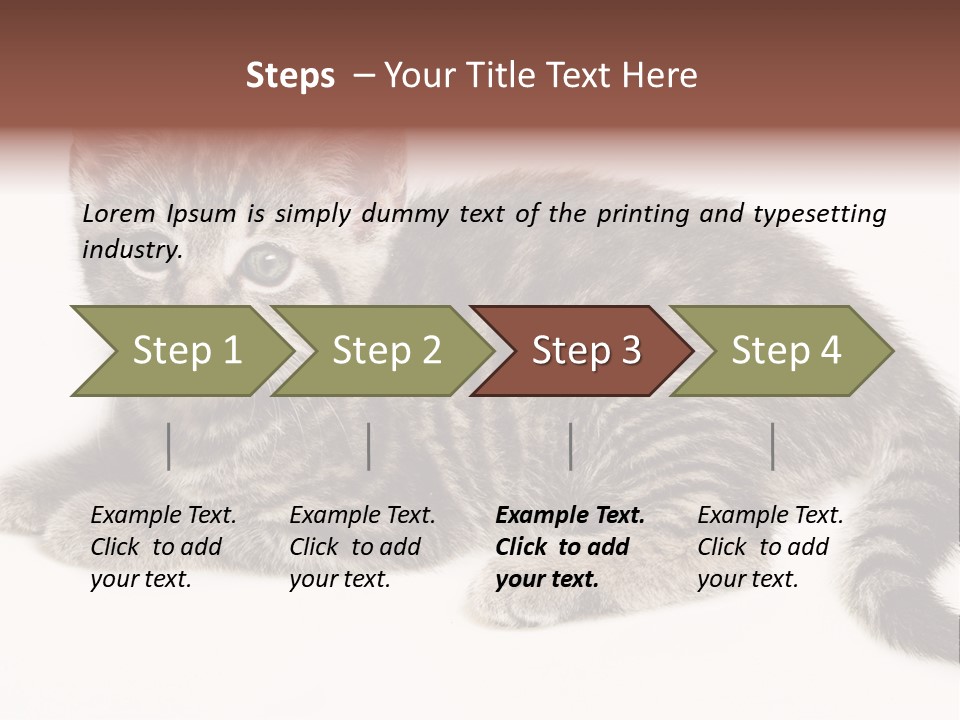 Isolated Detail Close Up Grey PowerPoint Template