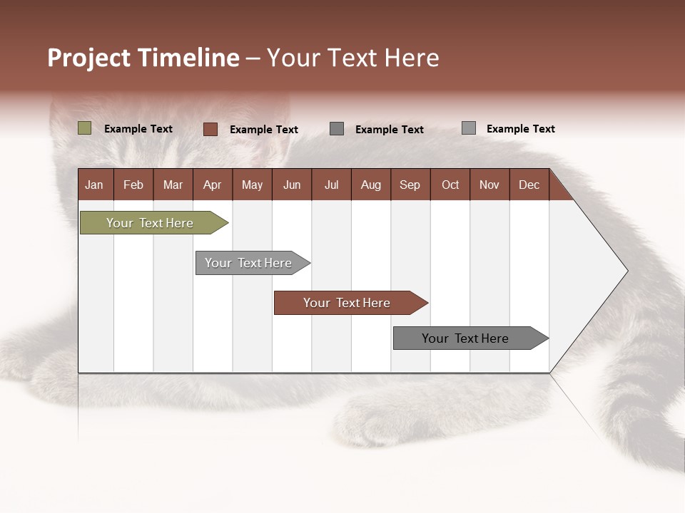 Isolated Detail Close Up Grey PowerPoint Template