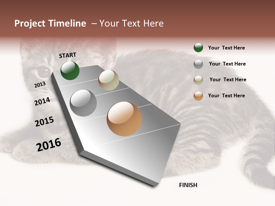 Isolated Detail Close Up Grey PowerPoint Template