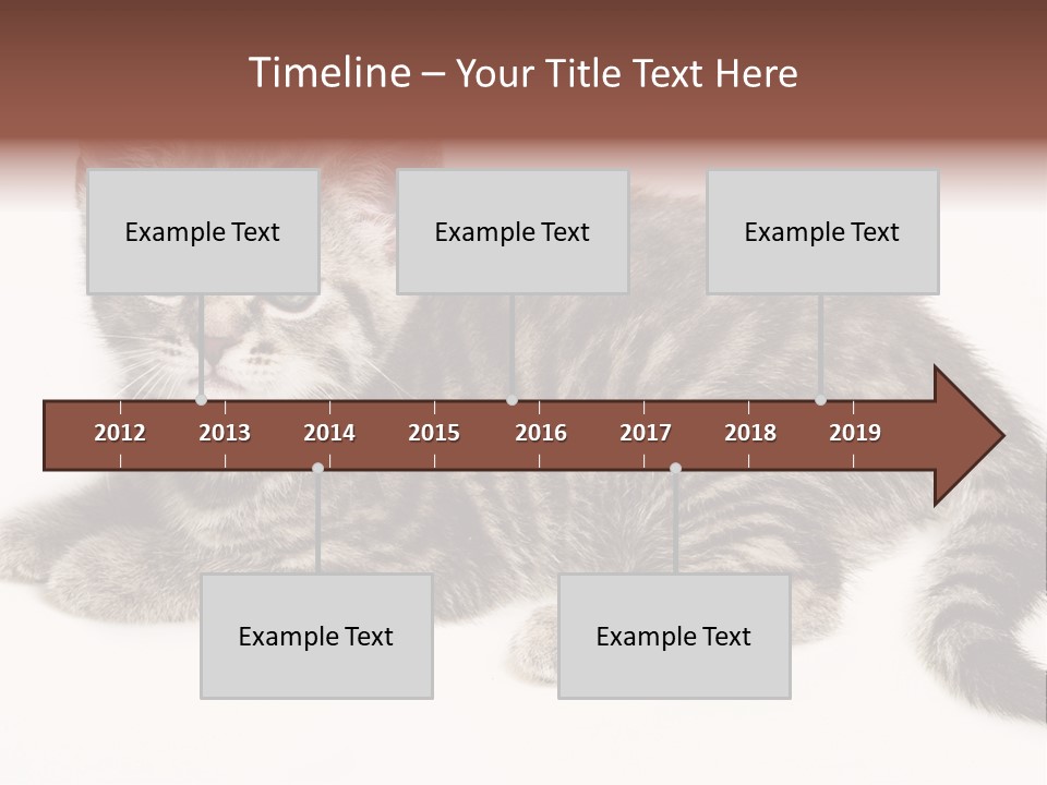 Isolated Detail Close Up Grey PowerPoint Template
