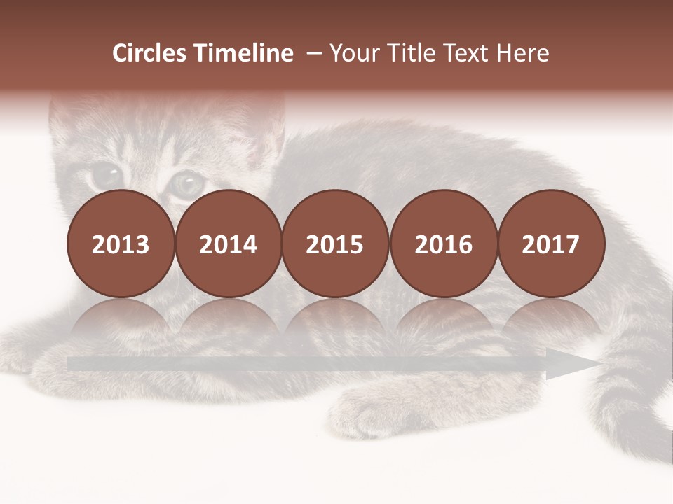 Isolated Detail Close Up Grey PowerPoint Template