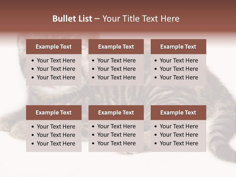 Isolated Detail Close Up Grey PowerPoint Template