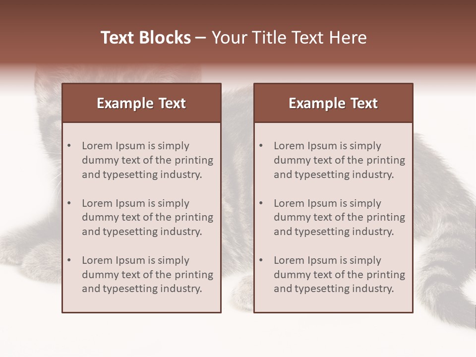 Isolated Detail Close Up Grey PowerPoint Template