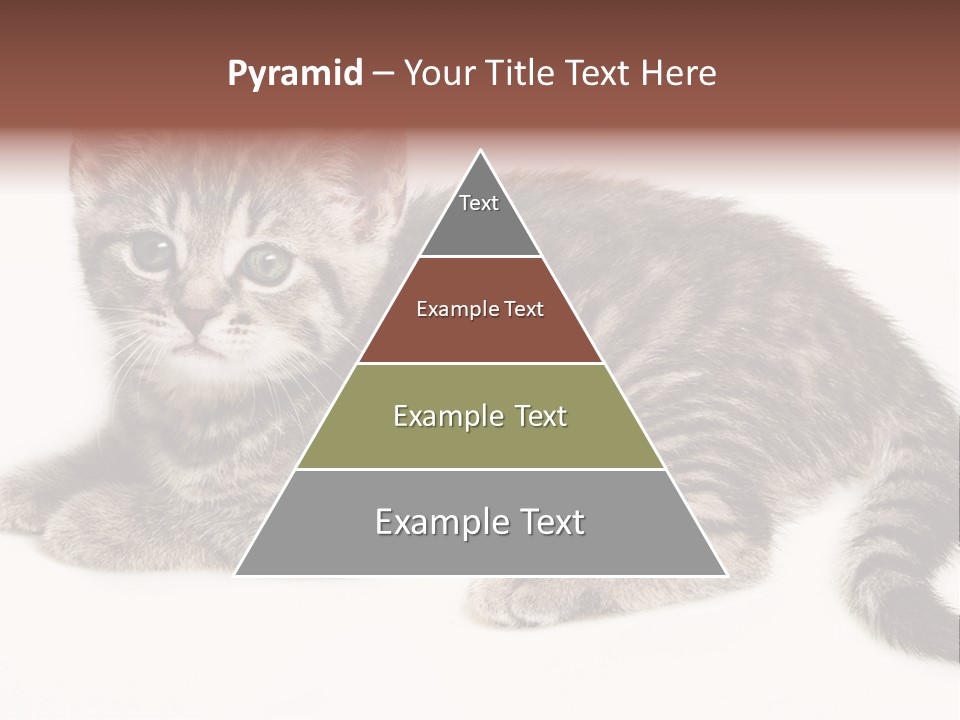 Isolated Detail Close Up Grey PowerPoint Template