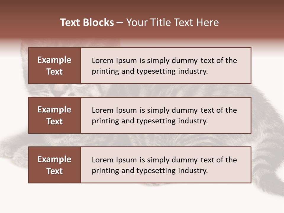 Isolated Detail Close Up Grey PowerPoint Template