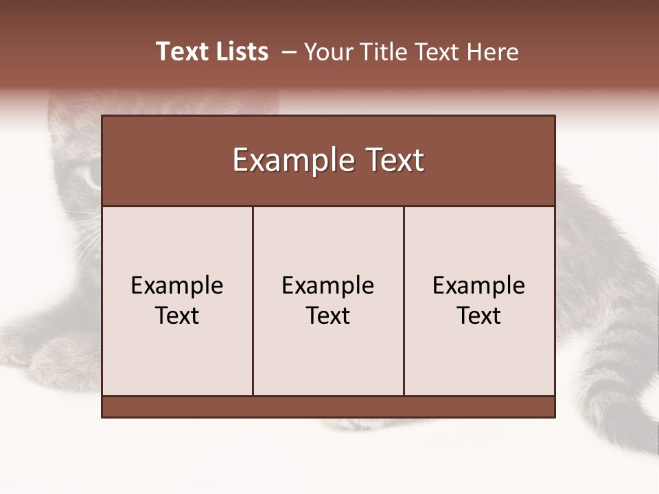 Isolated Detail Close Up Grey PowerPoint Template
