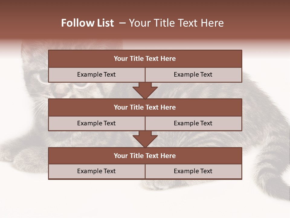 Isolated Detail Close Up Grey PowerPoint Template