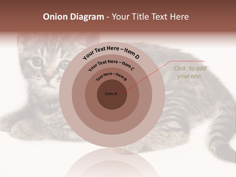 Isolated Detail Close Up Grey PowerPoint Template