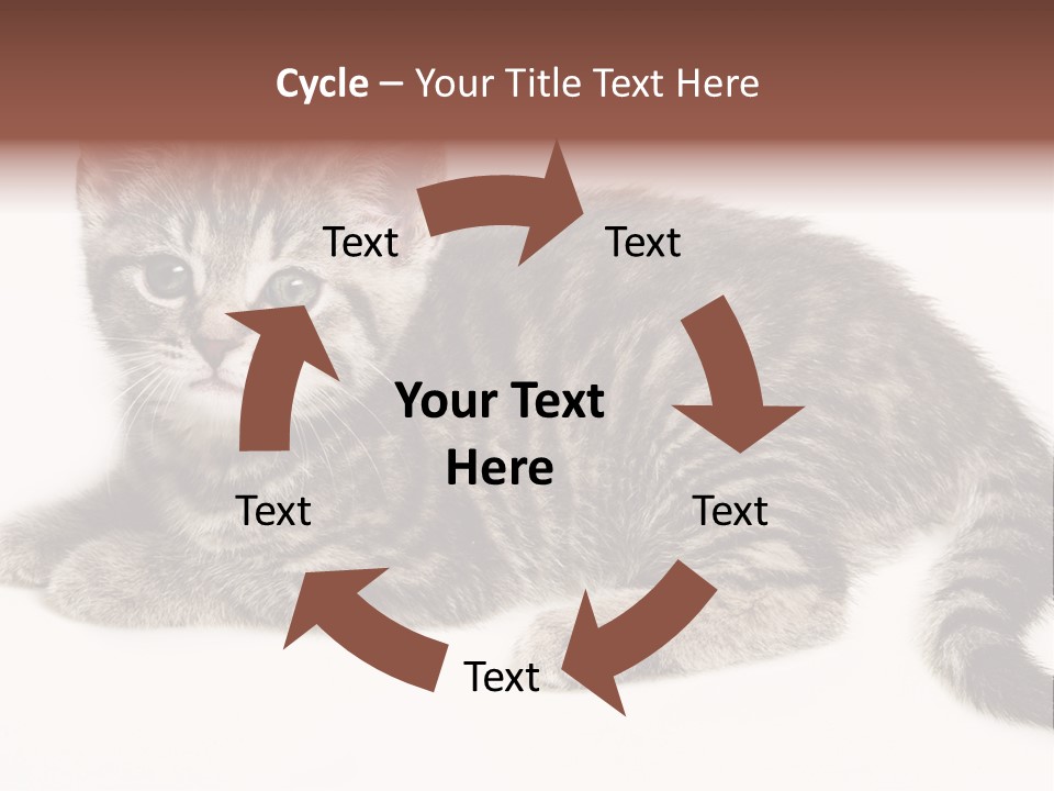 Isolated Detail Close Up Grey PowerPoint Template