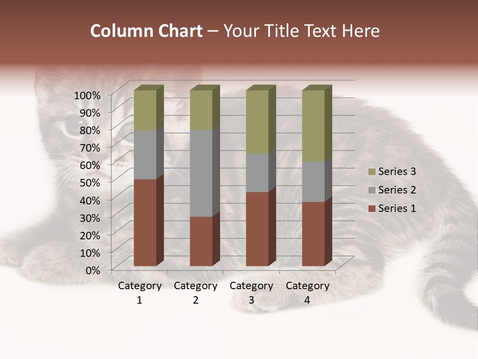 Isolated Detail Close Up Grey PowerPoint Template