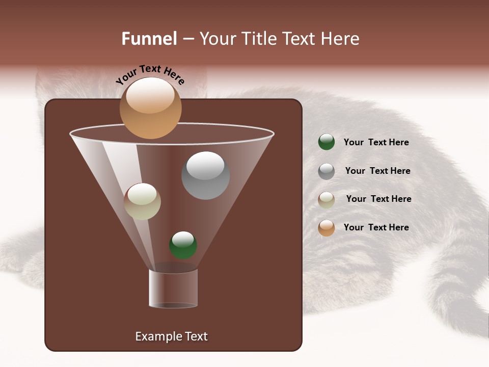Isolated Detail Close Up Grey PowerPoint Template
