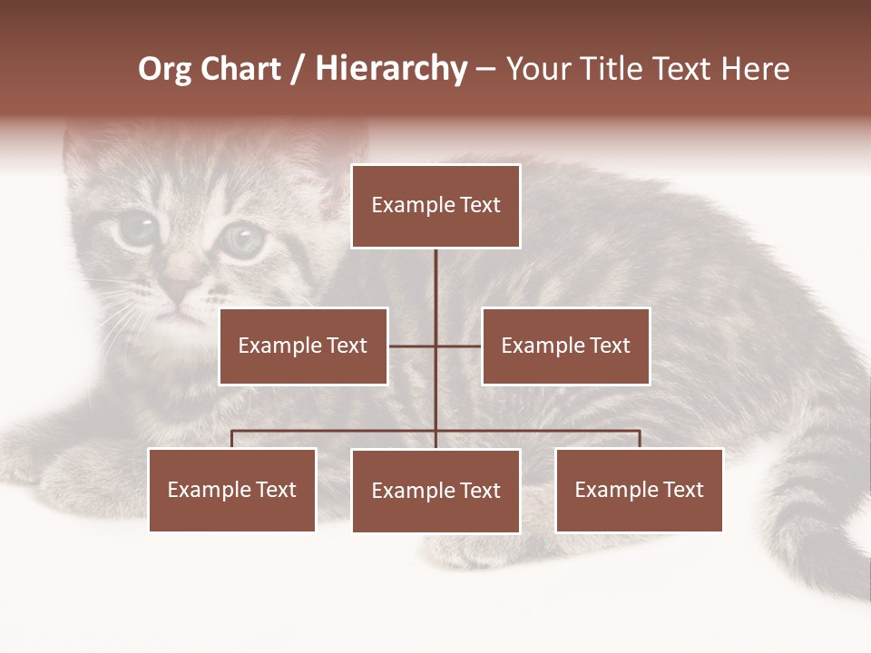 Isolated Detail Close Up Grey PowerPoint Template